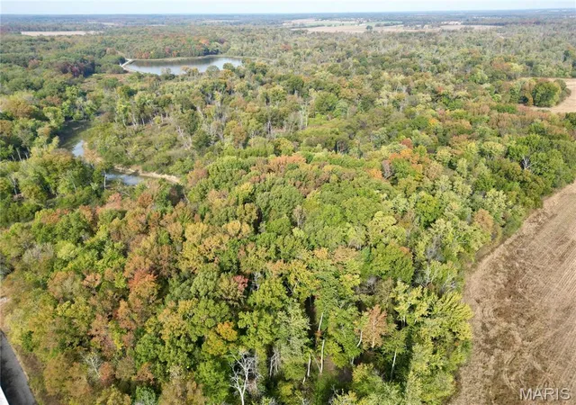 Photo 3 of Land for sale at 0 State Route 15, Golden Gate, IL 62843 | MLS# MIS26068816 | Listing updated on 2026-10-27