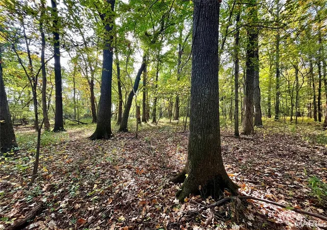 Photo 4 of Land for sale at 0 State Route 15, Golden Gate, IL 62843 | MLS# MIS26068816 | Listing updated on 2026-10-27