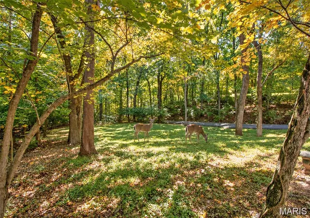 Photo 4 of Single family home for sale at 2485 Wild Valley Dr, High Ridge, MO 63049 | MLS# MIS26068866 | Listing updated on 2026-10-29