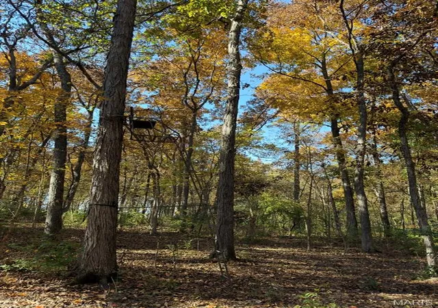 Photo 2 of Land for sale at 1619 Sneak Rd, Foristell, MO 63348 | MLS# MIS26069209 | Listing updated on 2026-10-28