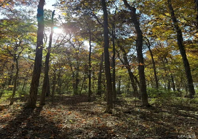 Photo 3 of Land for sale at 1619 Sneak Rd, Foristell, MO 63348 | MLS# MIS26069209 | Listing updated on 2026-10-28