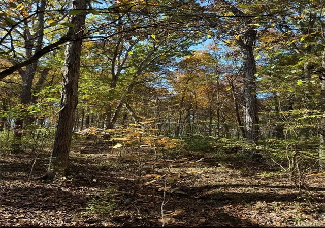 Photo 4 of Land for sale at 1619 Sneak Rd, Foristell, MO 63348 | MLS# MIS26069209 | Listing updated on 2026-10-28
