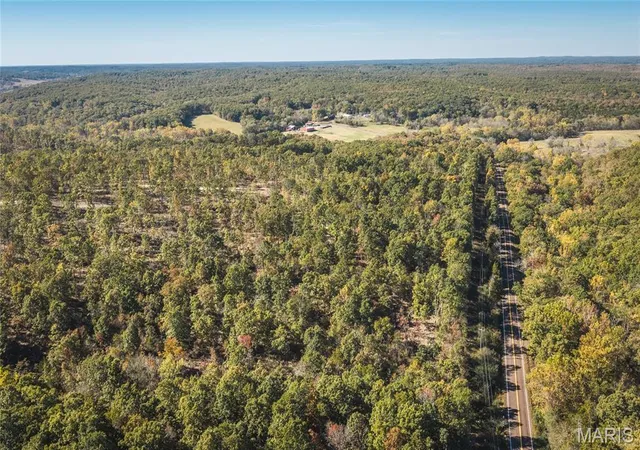 Land for sale at Tbd Highway 19, Steelville, MO 65565 | MLS# MIS26069387