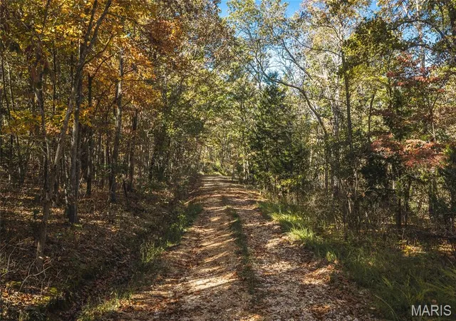 Photo 3 of Land for sale at Tbd Highway 19, Steelville, MO 65565 | MLS# MIS26069387 | Listing updated on 2026-10-29