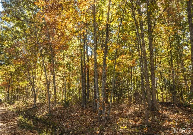 Photo 4 of Land for sale at Tbd Highway 19, Steelville, MO 65565 | MLS# MIS26069387 | Listing updated on 2026-10-29