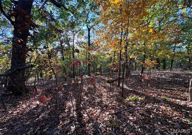 Land for sale at 000 Walking Horse Ln, Saint Mary, MO 63673 | MLS# MIS26069392