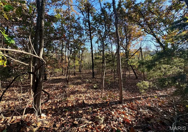 Photo 2 of Land for sale at 000 Walking Horse Ln, Saint Mary, MO 63673 | MLS# MIS26069392 | Listing updated on 2026-10-29
