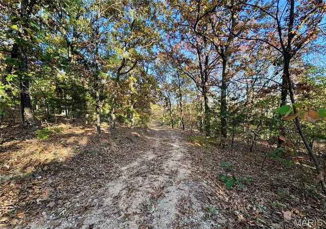 Photo 3 of Land for sale at 000 Walking Horse Ln, Saint Mary, MO 63673 | MLS# MIS26069392 | Listing updated on 2026-10-29