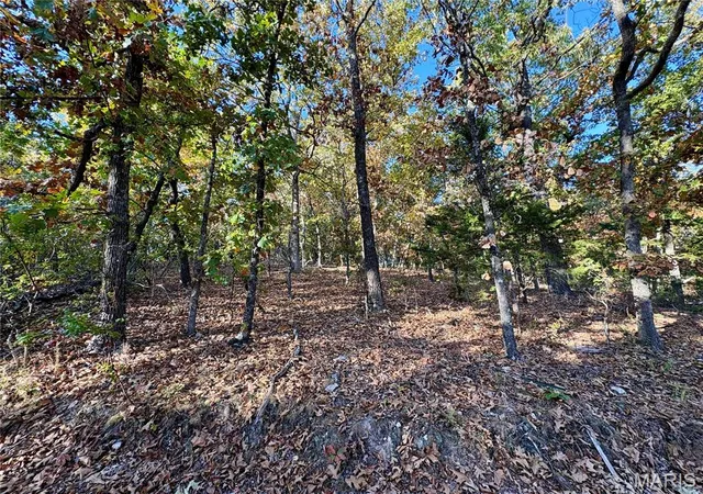 Photo 4 of Land for sale at 000 Walking Horse Ln, Saint Mary, MO 63673 | MLS# MIS26069392 | Listing updated on 2026-10-29
