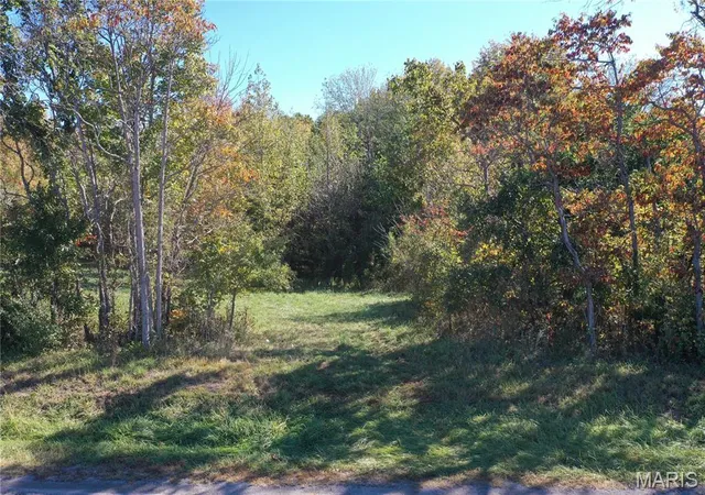 Photo 1 of Land for sale at 0 N Harmony Ln, Unincorporated, IL 62289 | MLS# MIS26069487 | Listing updated on 2026-10-29