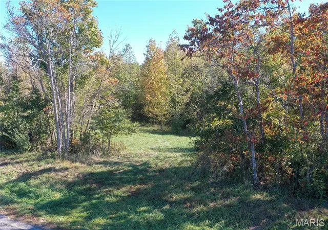 Photo 1 of Land for sale at 0 N Harmony Ln, Unincorporated, IL 62289 | MLS# MIS26069487 | Listing updated on 2026-10-29