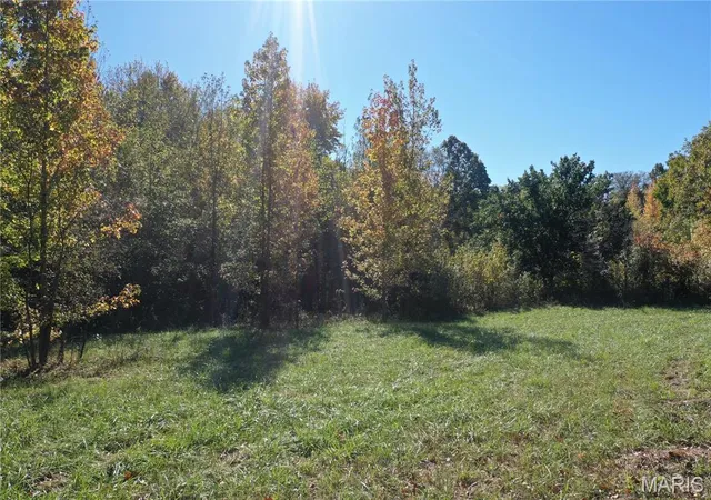Photo 3 of Land for sale at 0 N Harmony Ln, Unincorporated, IL 62289 | MLS# MIS26069487 | Listing updated on 2026-10-29