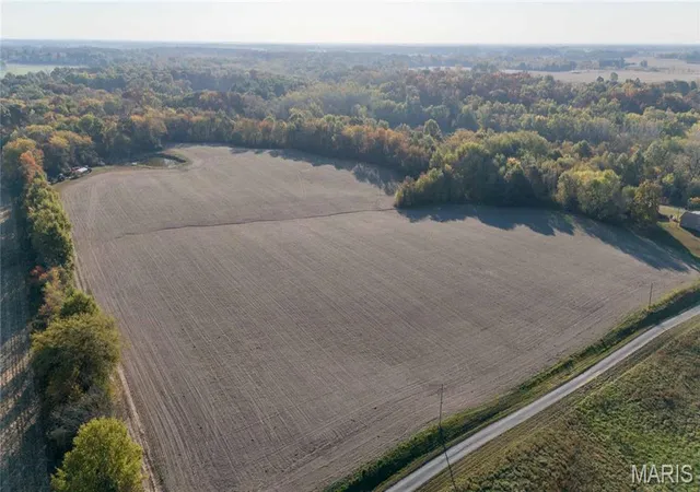 Photo 1 of Land for sale at 1 N 1750 Street, Mulberry Grove, IL 62262 | MLS# MIS26069520 | Listing updated on 2026-10-29