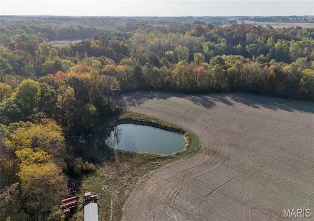 Photo 3 of Land for sale at 1 N 1750 Street, Mulberry Grove, IL 62262 | MLS# MIS26069520 | Listing updated on 2026-10-29