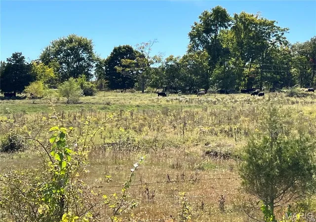 2nd image of 0 Hunt Rd, Farmington, MO 63640 | MLS# MIS9520659