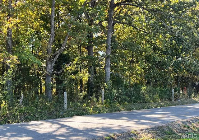 4th image of 0 Hunt Rd, Farmington, MO 63640 | MLS# MIS9520659
