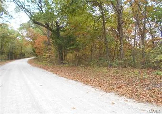 Photo 2 of Farm at 0 Pcr 842, Saint Mary, MO 63673 | MLS# MIS17081517 |  | Sold on 2017-11-20