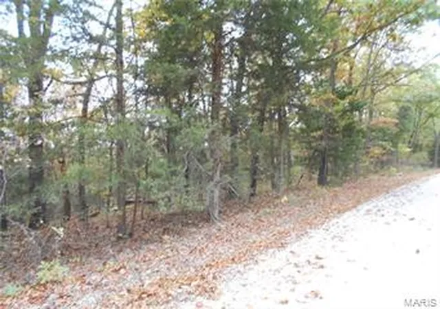 Photo 3 of Farm at 0 Pcr 842, Saint Mary, MO 63673 | MLS# MIS17081517 |  | Sold on 2017-11-20