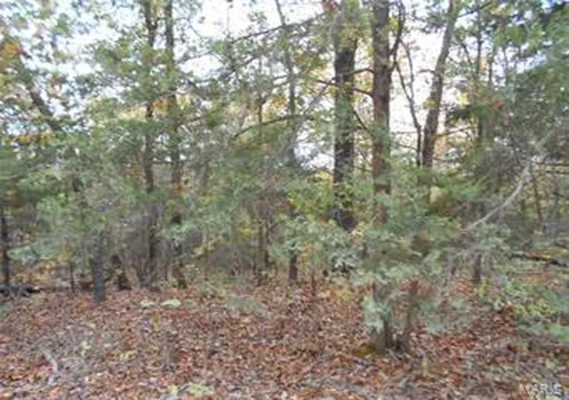Photo 4 of Farm at 0 Pcr 842, Saint Mary, MO 63673 | MLS# MIS17081517 |  | Sold on 2017-11-20