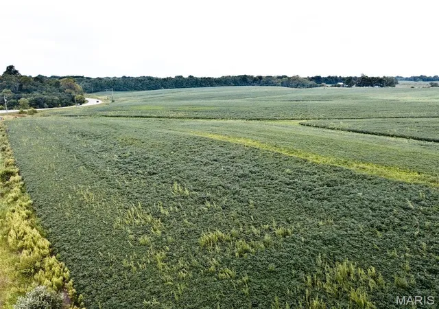 Photo 4 of Land for sale at 7735 State Route 143, Edwardsville, IL 62025 | MLS# MIS18071550 | Listing updated on 2026-07-24