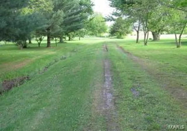 Photo 1 of Farm at 0 E Farm Road 164, Rogersville, MO 65742 | MLS# MIS20009074 |  | Sold on 2021-01-21