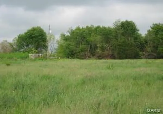 Photo 3 of Farm at 0 E Farm Road 164, Rogersville, MO 65742 | MLS# MIS20009074 | | Sold on 2021-01-21