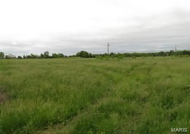 Photo 4 of Farm at 0 E Farm Road 164, Rogersville, MO 65742 | MLS# MIS20009074 | | Sold on 2021-01-21