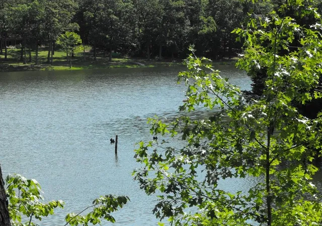 Photo 2 of Land at 0 Bluffton Rd, Rhineland, MO 65069 | MLS# MIS20063907 |  | Sold on 2020-10-30