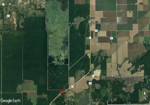 Photo 3 of Agriculture at 26989 Hwy 51, Puxico, MO 63960 | MLS# MIS21084668 |  | Sold on 2025-09-10