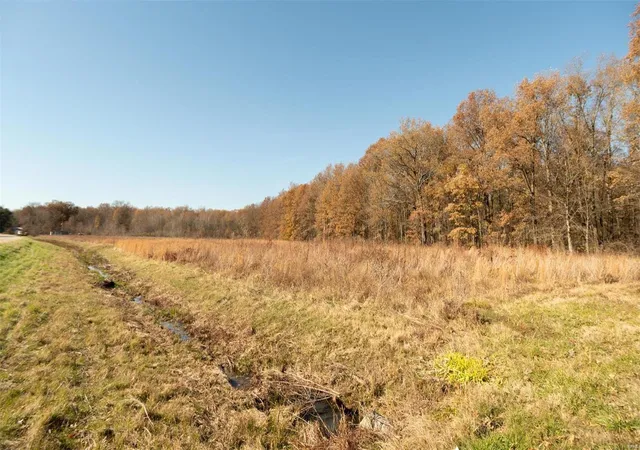 Photo 5 of Agriculture at 26989 Hwy 51, Puxico, MO 63960 | MLS# MIS21084668 |  | Sold on 2025-09-10