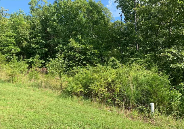 Photo 4 of Land at 0 Hillcrest Dr, Owensville, MO 65066 | MLS# MIS22054309 | | Sold on 2025-01-28