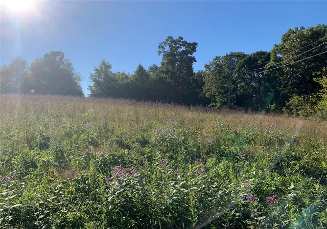 Photo 3 of Land at 705 E Hwy 28, Owensville, MO 65066 | MLS# MIS22063623 |  | Sold on 2025-07-07