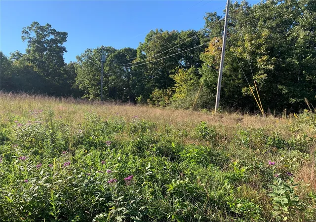 Photo 4 of Land at 705 E Hwy 28, Owensville, MO 65066 | MLS# MIS22063623 |  | Sold on 2025-07-07