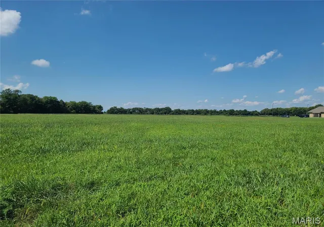 5th image of 103 Grove Estates, Sikeston, MO 63801 | MLS# MIS22068899