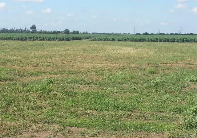 4th image of 1209 Lawrence, Sikeston, MO 63801 | MLS# MIS22069179