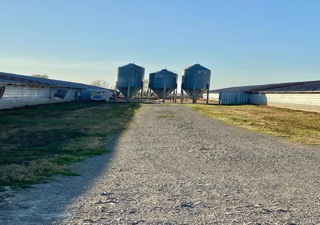 Photo 5 of Farm at 10253 Hwy Tt, Dudley, MO 63936 | MLS# MIS22072874 | | Sold on 2025-01-07