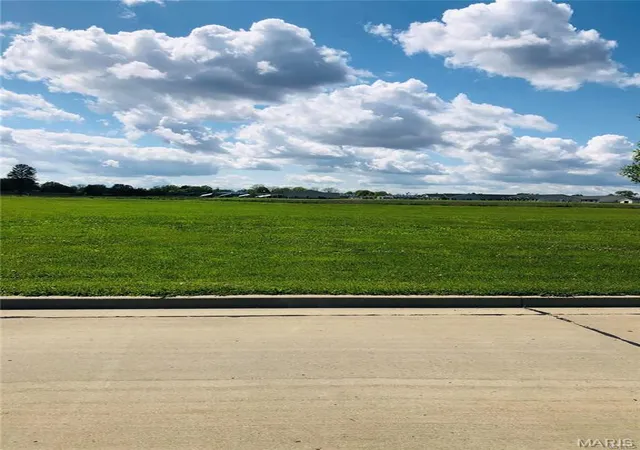 Homes for sale in Jerseyville, IL | 25 N June St, Jerseyville, IL 62052 | MLS# MIS23000628