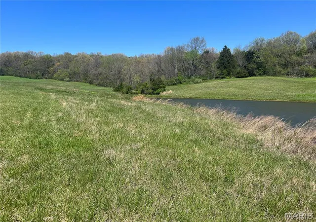 Homes for sale in Fredericktown, MO | 2 Cr 528, Fredericktown, MO 63645 | MLS# MIS23020463