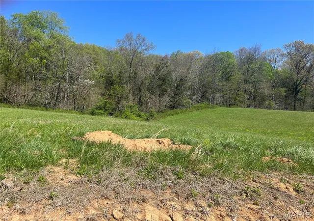Homes for sale in Fredericktown, MO | 6 Cr 528, Fredericktown, MO 63645 | MLS# MIS23021166