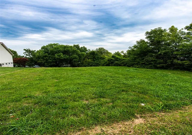 Photo 3 of Land at 3721 Will Ave, Saint Louis, MO 63125 | MLS# MIS23024722 |  | Sold on 2023-08-11