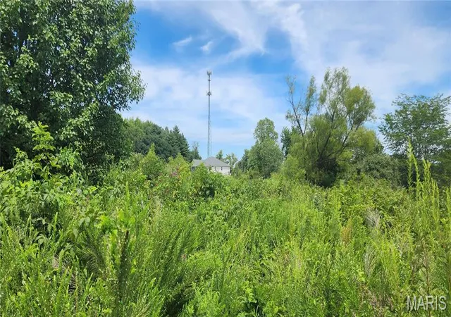 Photo 2 of Land for sale at 85 Maggie Ln, Makanda, IL 62958 | MLS# MIS23048502 | Listing updated on 2026-08-12