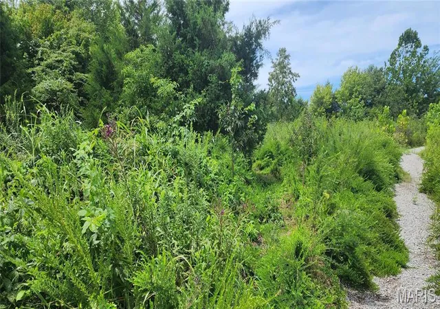 Photo 3 of Land for sale at 85 Maggie Ln, Makanda, IL 62958 | MLS# MIS23048502 | Listing updated on 2026-08-12