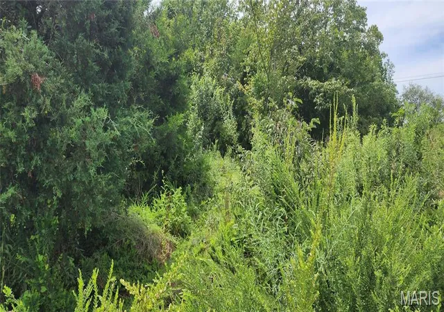 Photo 4 of Land for sale at 85 Maggie Ln, Makanda, IL 62958 | MLS# MIS23048502 | Listing updated on 2026-08-12