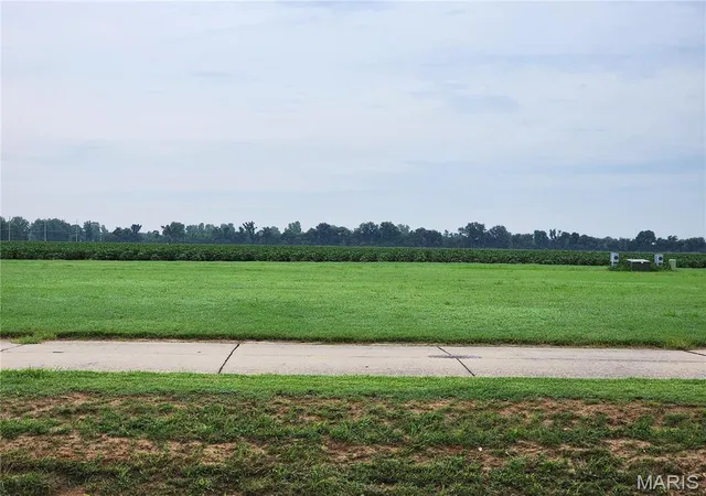 Photo 1 of Land for sale at 801 Bollweevil Blvd, Sikeston, MO 63801 | MLS# MIS23048617 | Listing updated on 2026-08-31