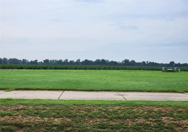 Homes for sale in Sikeston, MO | 803 Bollweevil Blvd, Sikeston, MO 63801 | MLS# MIS23048620