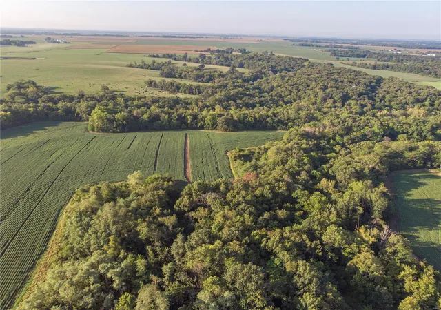 Photo 5 of Farm at 20501 Maple Dr, Center, MO 63436 | MLS# MIS23053880 |  | Sold on 2024-08-15