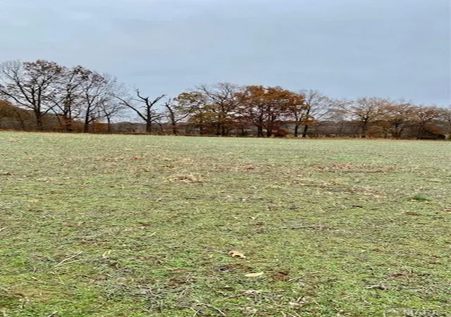 Photo 2 of Farm at 267 County Rd, Puxico, MO 63960 | MLS# MIS23054870 |  | Sold on 2025-11-25