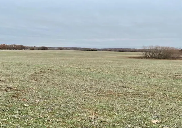Photo 3 of Farm at 267 County Rd, Puxico, MO 63960 | MLS# MIS23054870 |  | Sold on 2025-11-25