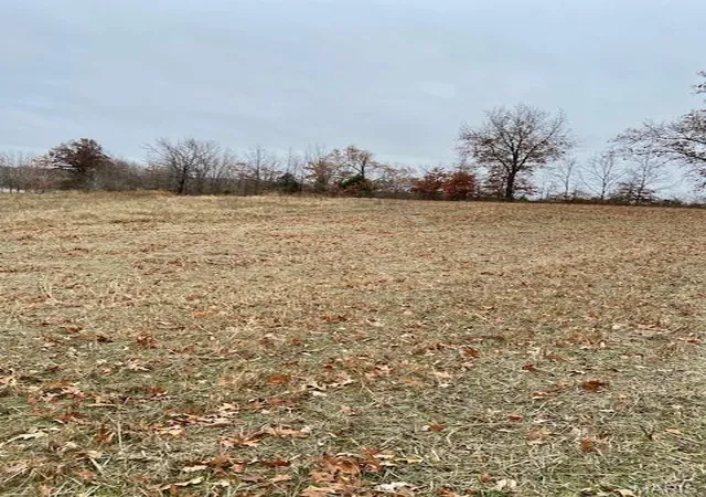 Photo 4 of Farm at 267 County Rd, Puxico, MO 63960 | MLS# MIS23054870 |  | Sold on 2025-11-25