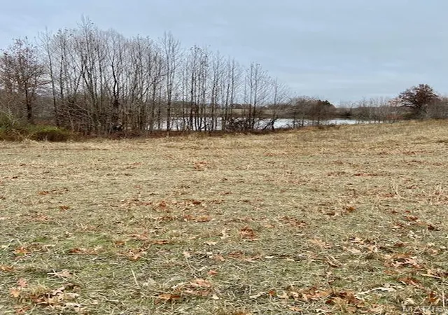 Photo 5 of Farm at 267 County Rd, Puxico, MO 63960 | MLS# MIS23054870 |  | Sold on 2025-11-25